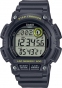 Ремешок-CASIO WS-2100H-8 10628462 0