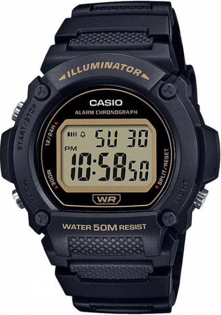 Часы CASIO W-219H-1A2VEF