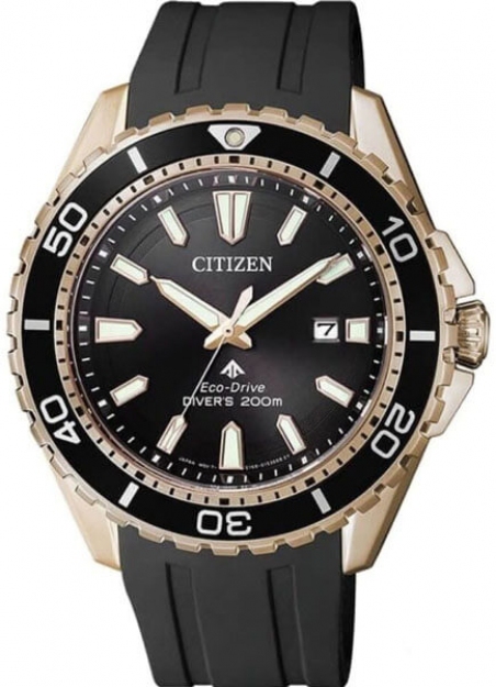 Часы Citizen BN0193-17E