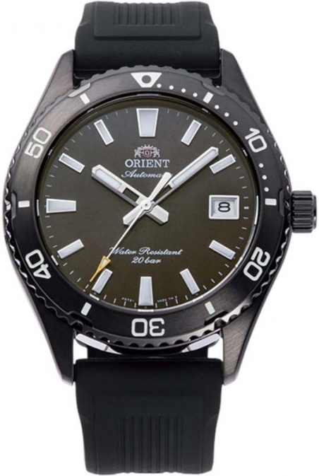 Часы ORIENT RA-AC0Q10N30B