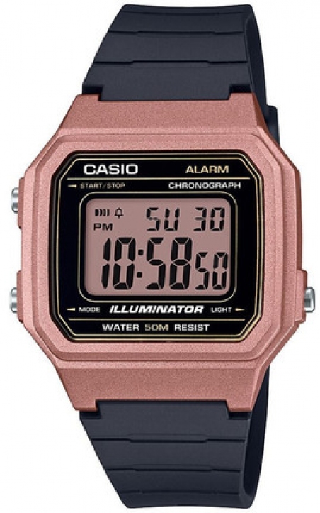 Часы Casio W-217HM-5AVEF