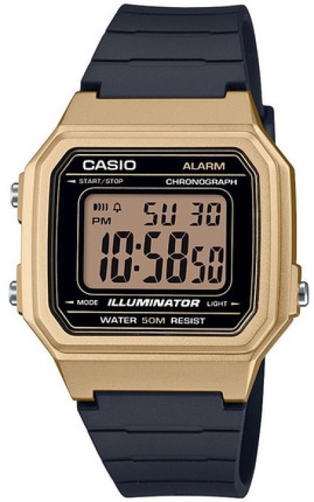 Часы Casio W-217HM-9AVEF