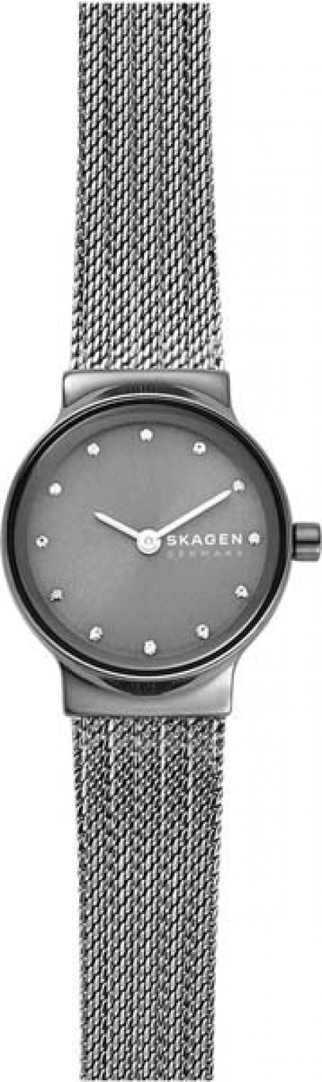 Часы SKAGEN SKW2700