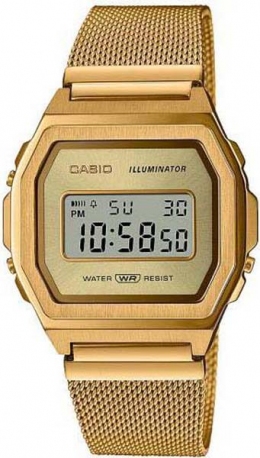 Часы Casio A1000MG-9EF