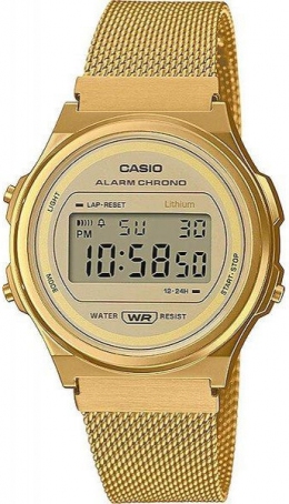 Часы Casio A171WEMG-9AEF