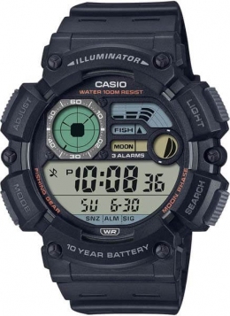 Часы CASIO WS-1500H-1AVEF
