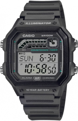 Часы CASIO WS-1600H-8AVEF