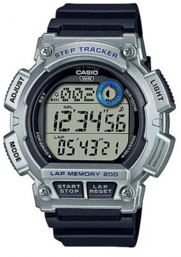 Часы CASIO WS-2100H-1A2