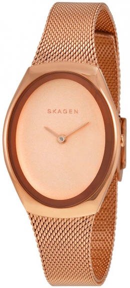 Часы Skagen SKW2299