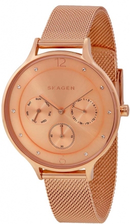 Часы Skagen SKW2314