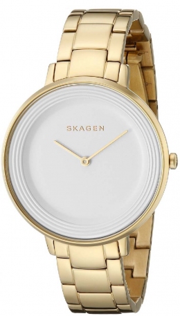 Часы Skagen SKW2330