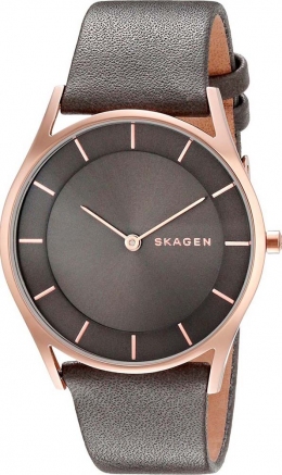 Часы Skagen SKW2346