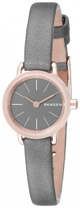 Часы Skagen SKW2359