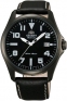Часы Orient FER2D001B0